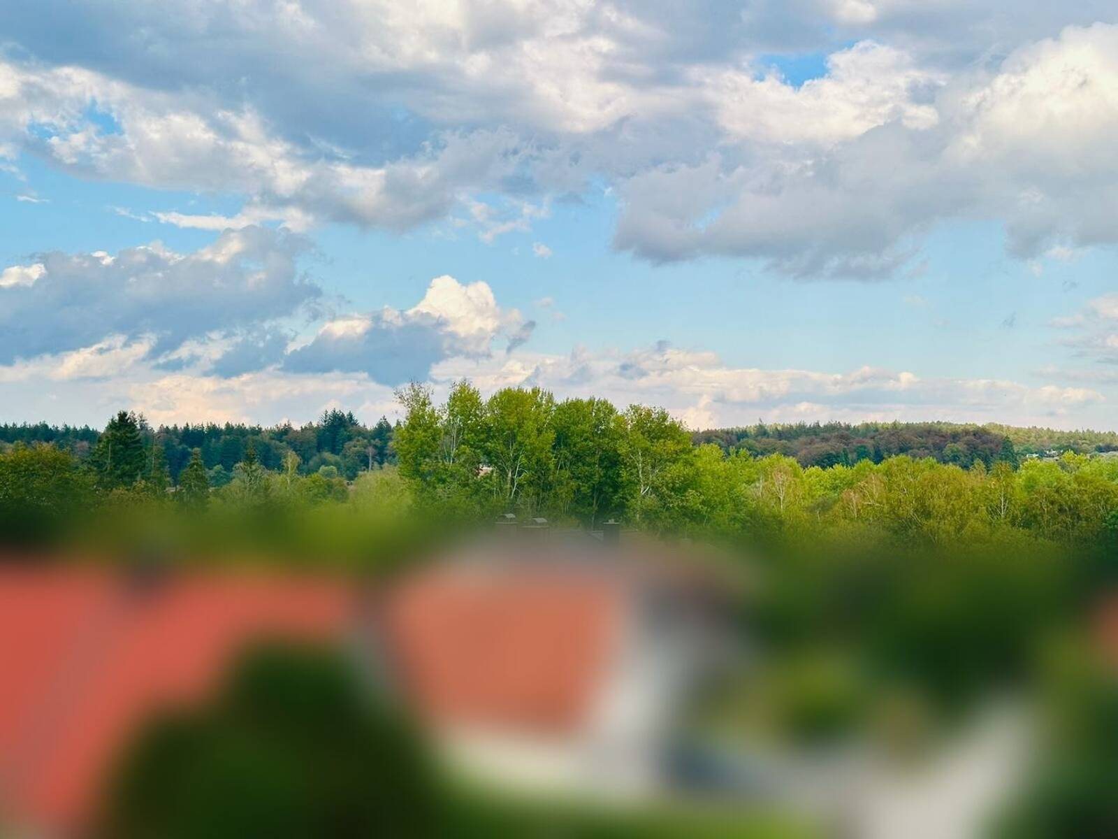 Aussicht ins Grüne